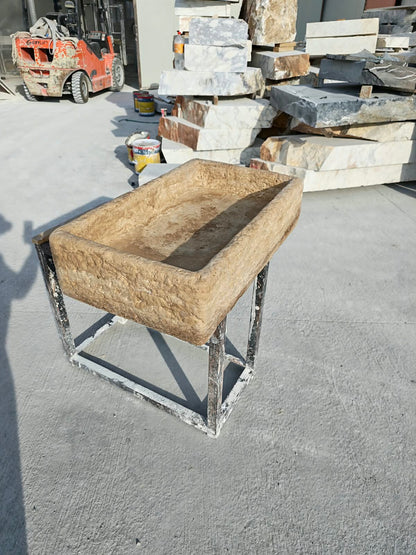 Organic Hand Carved Sink