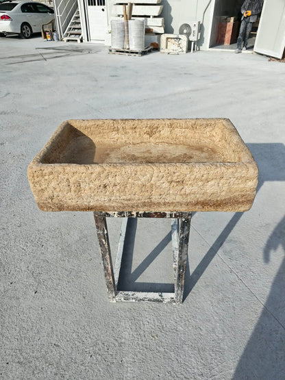 Organic Hand Carved Sink